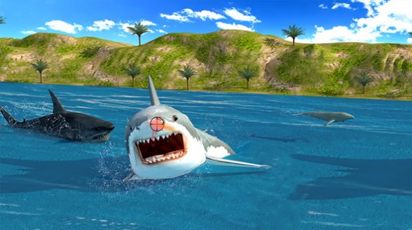鲨鱼猎手模拟器(1)