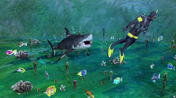 鲨鱼猎手模拟器(2)
