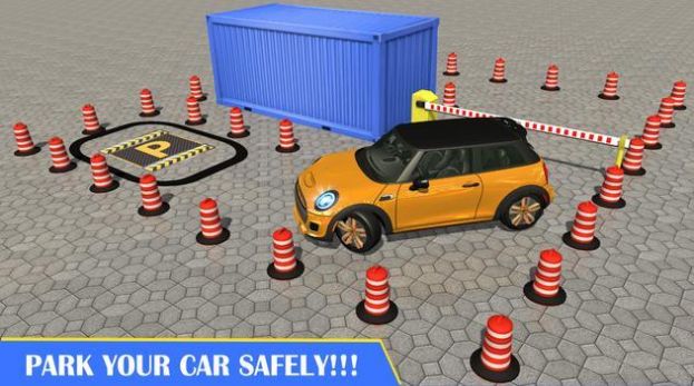 真实驾驶学校停车模拟3D(3)