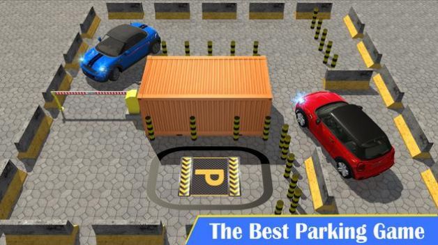 真实驾驶学校停车模拟3D(2)