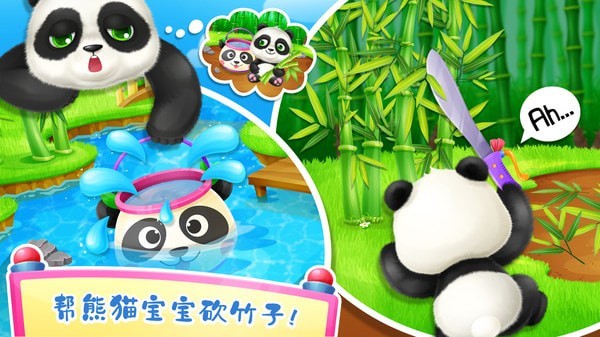 照顾熊猫宝宝(1)
