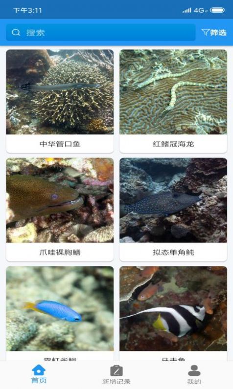 常见珊瑚礁鱼类速查(2)