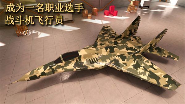 喷气式空袭任务3D(1)