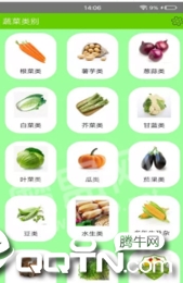 丽文蔬菜全书(3)