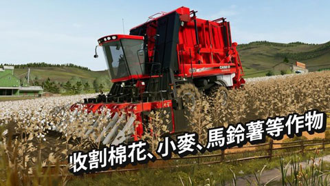 模拟农场20(中国卡车)(2)