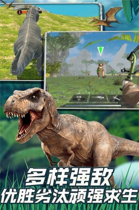恐龙大陆深入探秘(3)